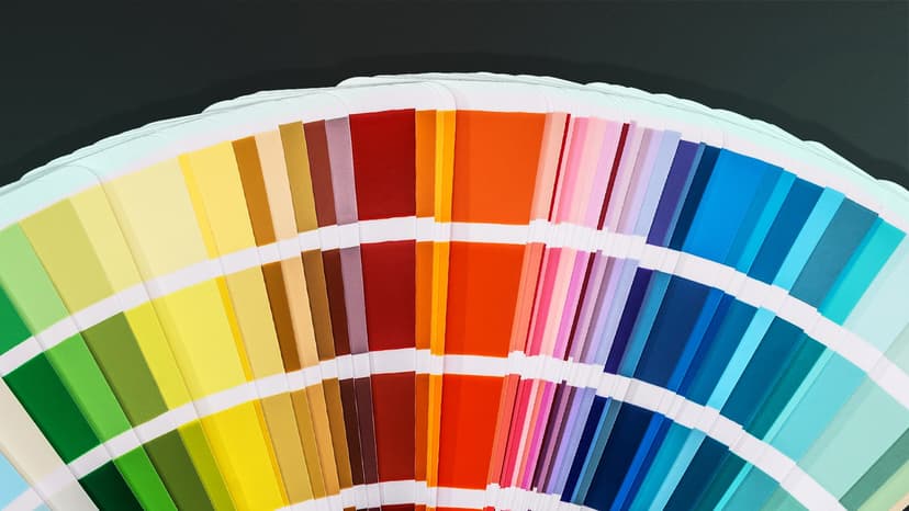 Barva není dekorace, ale systém. Jak ji v podnikání využít správně