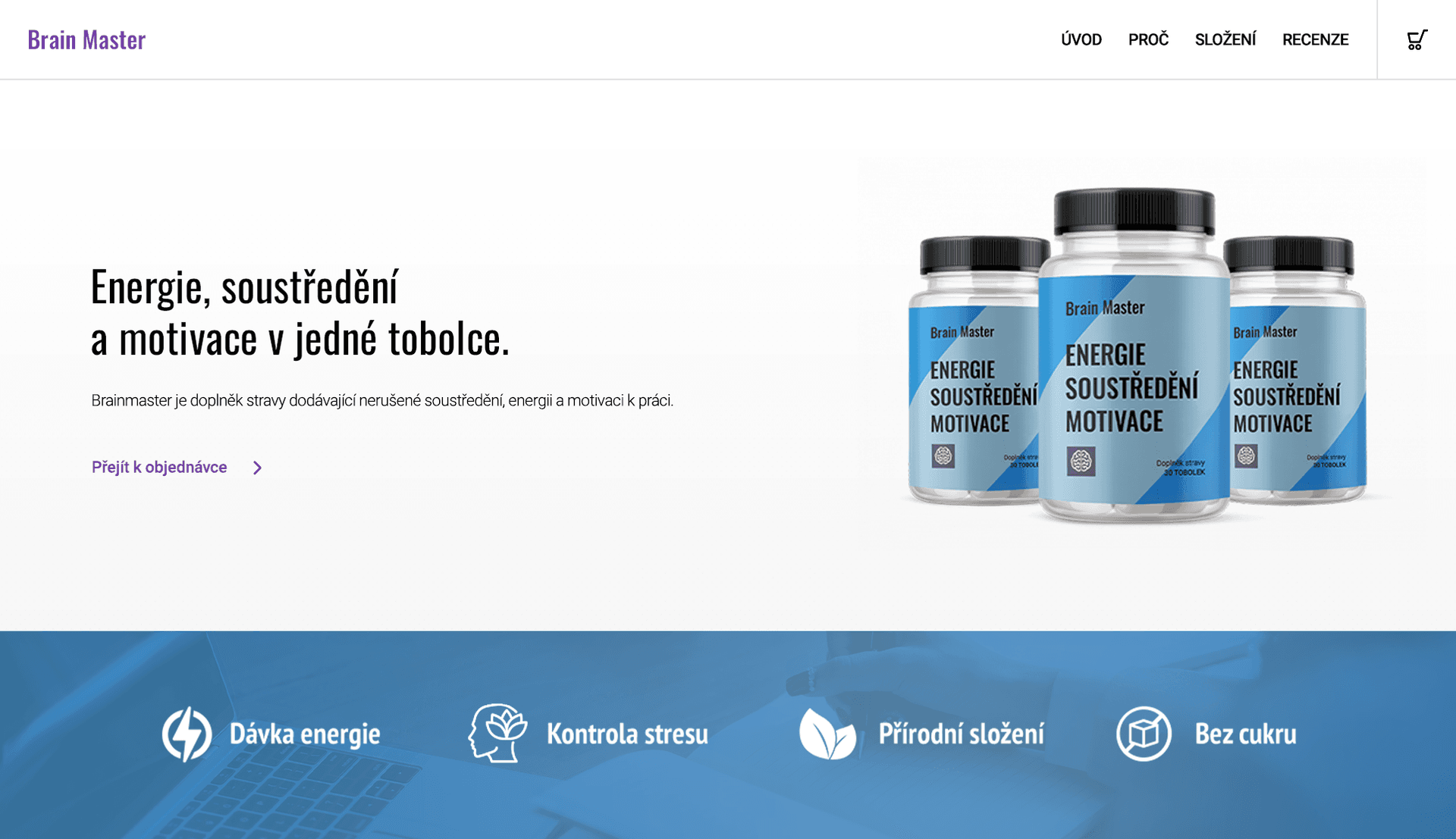 Brain Master – Kompletní vizuální identita a redesign webu – ukázka 1